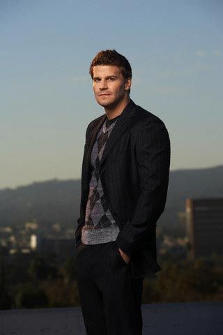 david